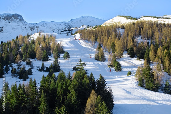 Fototapeta Piste de ski au milieu d'une forêt de sapins dans une station de sport d'hiver le matin avant l'ouverture des remontées.