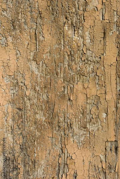 Obraz superficie in legno