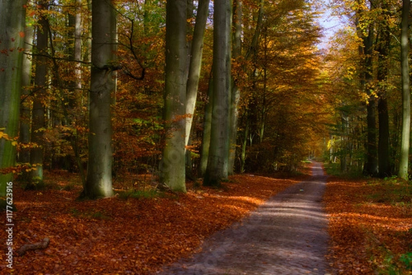 Obraz path in autumn forest