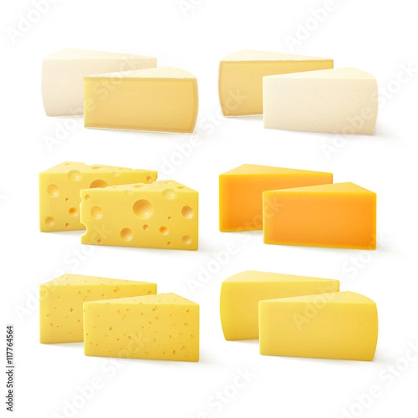 Fototapeta Vector Set of Triangular Pieces of Various Kind of Cheese Swiss Cheddar Bri Parmesan Camembert Close up Isolated on White Background