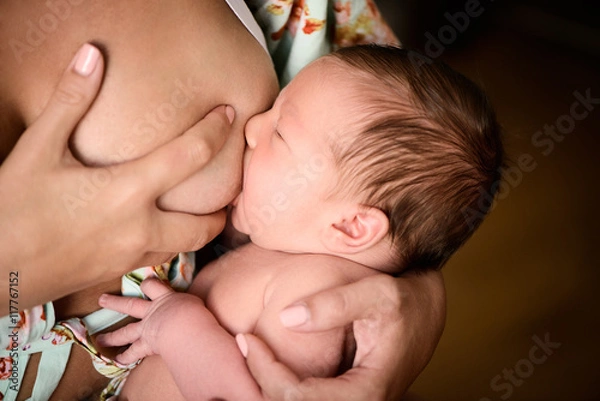 Obraz newborn baby eats breast milk