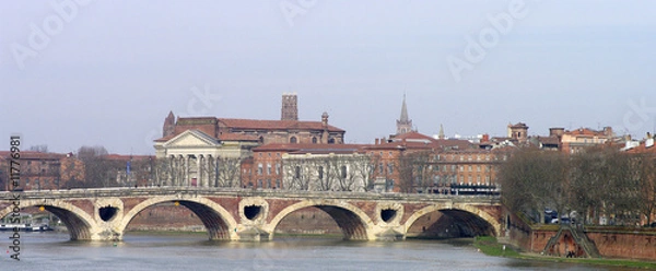 Obraz toulouse pont neuf