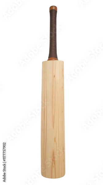 Obraz wooden bat