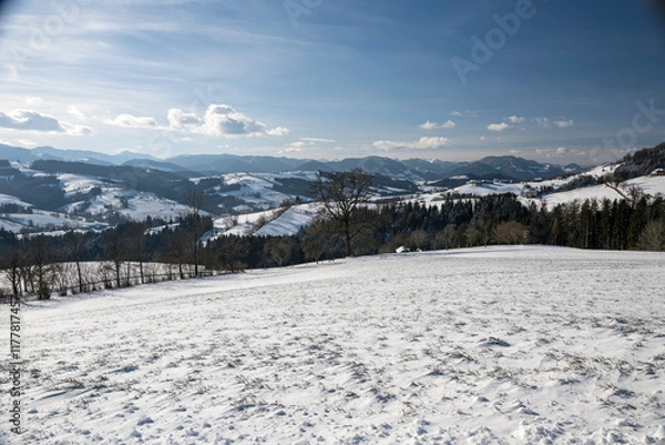 Fototapeta snow covered mountains