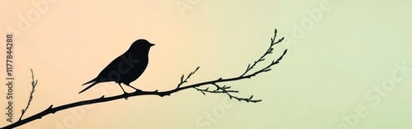 Fototapeta Silhouette of a bird perched on a branch during sunset against a soft colored background
