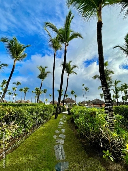 Obraz beach with palm trees