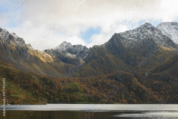 Obraz Norwegian landscape