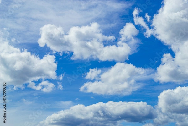 Obraz Magnificent cumulus clouds high in blue sky