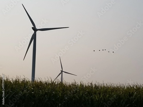 Obraz wind turbine