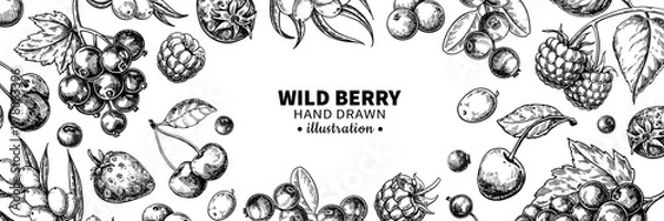 Fototapeta Wild berry drawing. Hand drawn vintage vector frame. Summer fruit set of strawberry, cranberry, cherry, strawberry,
