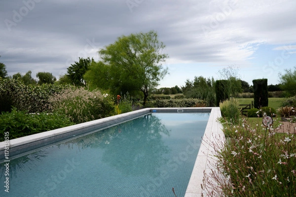 Fototapeta View of the elevated rectangular swimming pool in the garden, surrounded by plants and flowers