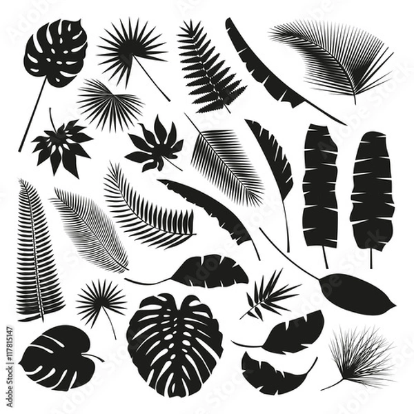 Fototapeta Black Tropical Leaves Collection, isolate vector. Beautiful Set. Vector illustration. Eps 10