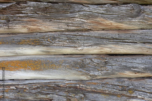 Fototapeta Rustic wall built of whole timber logs