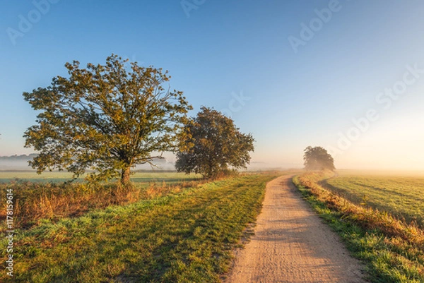 Fototapeta Meandering dirt path through a rural autumn landscape. The sun is low in the sky and there is some mist hanging over the fields in the background.