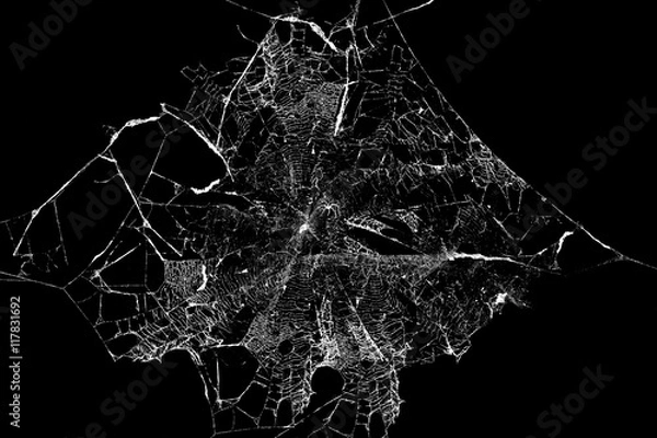 Obraz Streszczenie SpiderWeb na czarnym tle