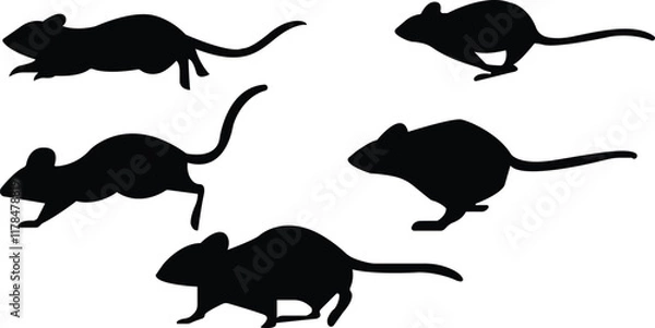 Fototapeta Mouse jumping and running vector 