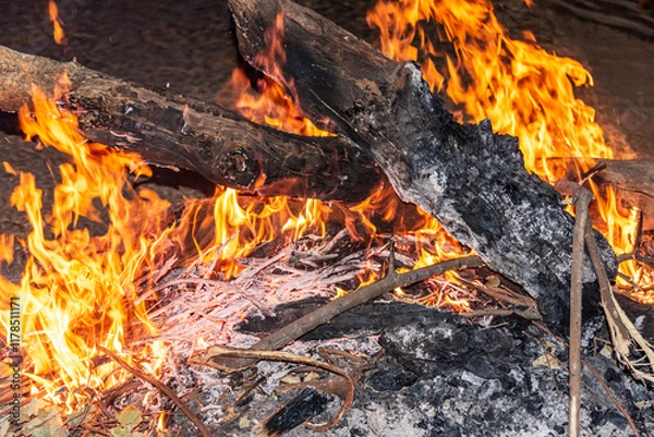 Obraz Close-up of a Bonfire in the night