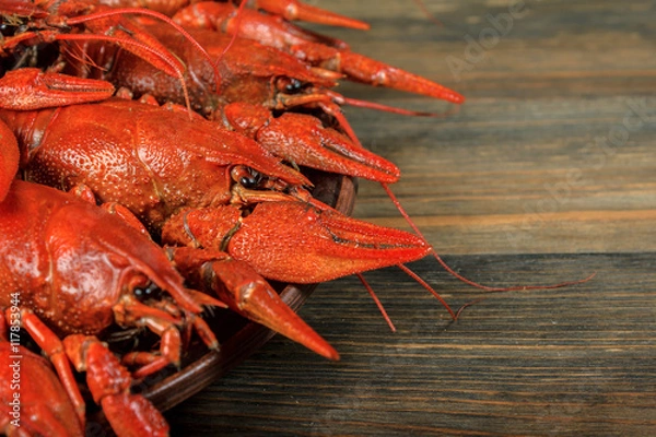 Obraz Boiled crawfish on wood background