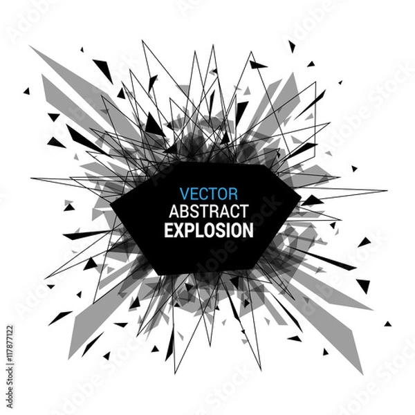 Obraz Abstract black explosion isolated on white background.