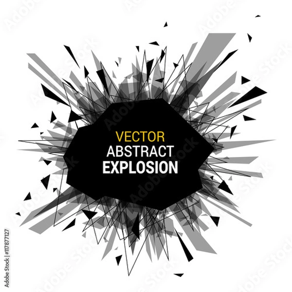 Obraz Abstract black explosion isolated on white background.