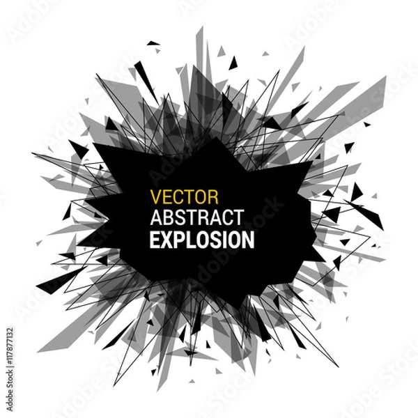 Obraz Abstract black explosion isolated on white background.