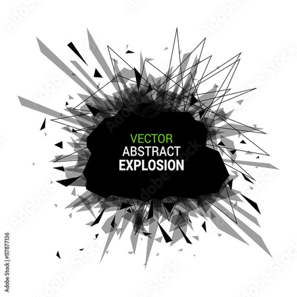 Obraz Abstract black explosion isolated on white background.