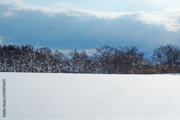 Obraz 冬の雪景色