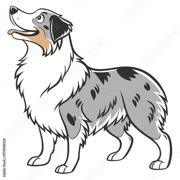 Obraz Miniature American Shepherd Dog Vector