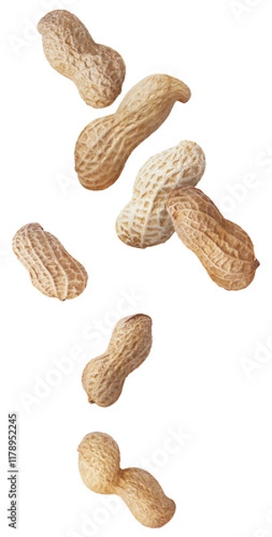 Fototapeta isolated falling peanuts. Flying raw shelled peanuts isolated on white background