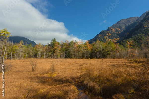 Fototapeta Kamikochi has a beautiful atmosphere, with mountains,wildlife and streams, and good weather, especially during the autumn foliage season, part of the Japan Alps, Nagano