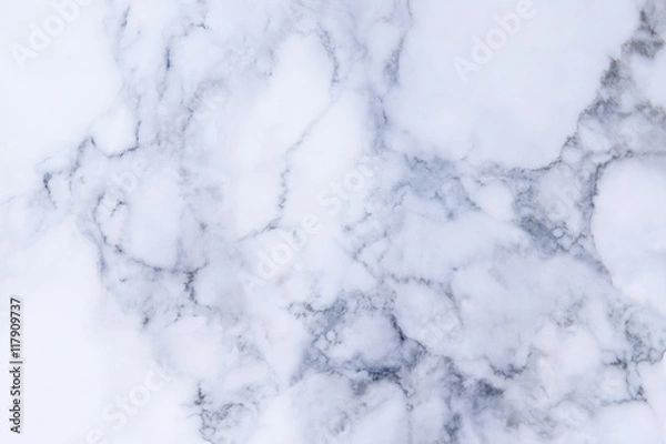 Obraz Marble floor texture and background.