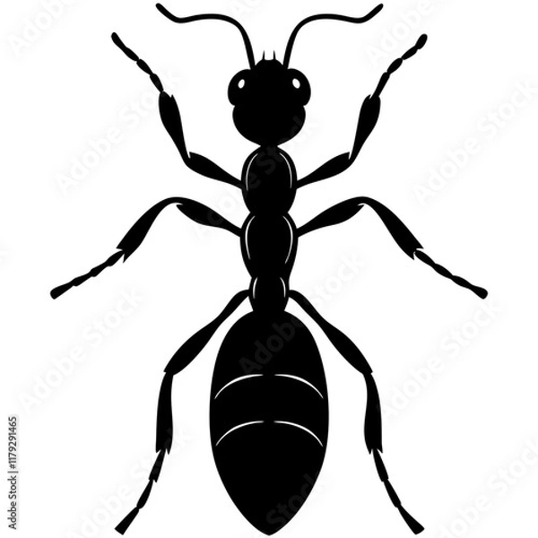 Fototapeta Ant Icon Pack - Minimalist and Professional Vector File 