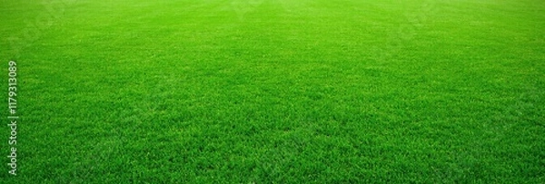 Fototapeta Green grass background on a football field captures the vibrant energy of a well-maintained pitch. Generative AI