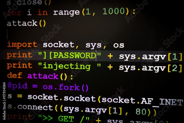 Obraz Computer screen shot with Password text, great concept for computer, technology and online security.