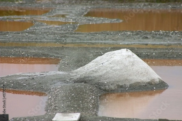Obraz sel de guérande