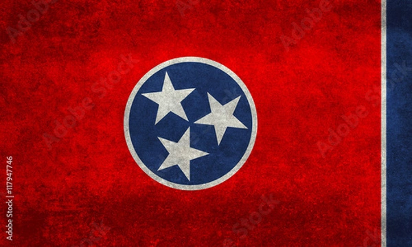 Obraz Tennessee State flag with vintage distressed textures