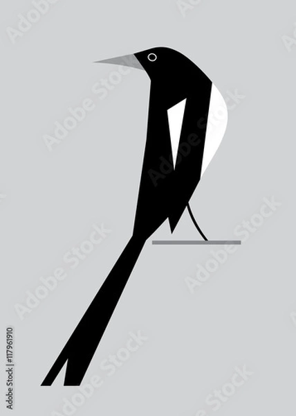 Fototapeta Minimalistic image of magpie2
