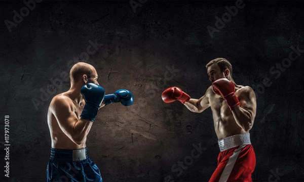 Fototapeta Possessing power and endurance . Mixed media