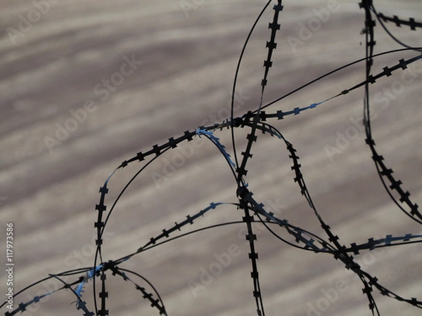 Obraz Barb wire