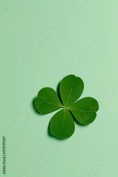 Fototapeta four leaf clover,Saint Patrick's Day 