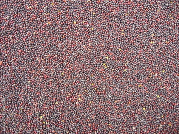 Obraz essement's background2