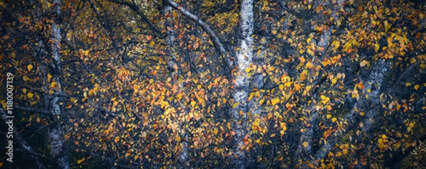 Obraz LIGHT AND DARK v2