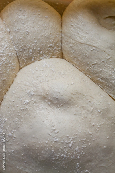 Fototapeta masa fermentada