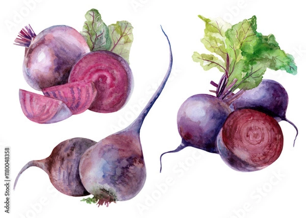 Fototapeta Set of bright beets with leaves and sliced ​​pieces. Watercolor illustration, hand drawn and isolated on white background. Elements for label, packaging, card design.