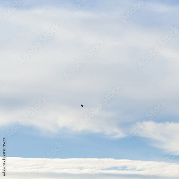 Obraz Background, texture with image of sky with clouds