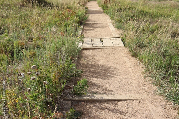 Obraz Colorado Landscape