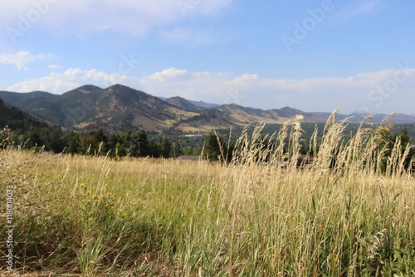 Obraz Colorado Landscape