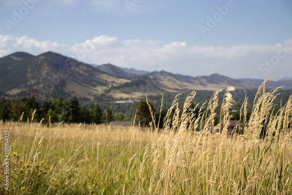 Obraz Colorado Landscape