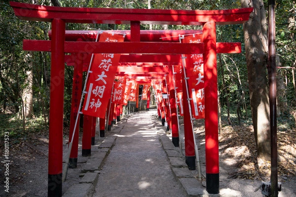 Fototapeta 稲荷神社の鳥居