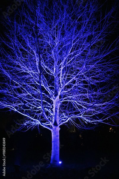 Obraz Glowing Tree 